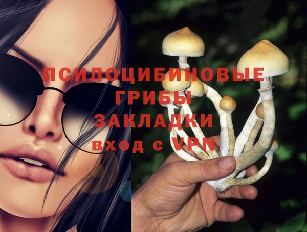 альфа пвп Богданович