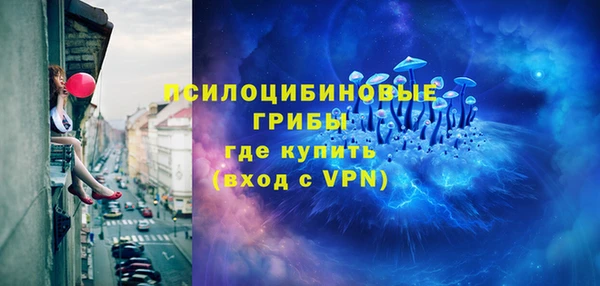 гидропоника Белокуриха