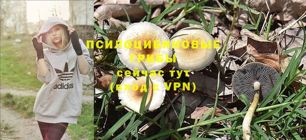 молекула духа Верхний Тагил