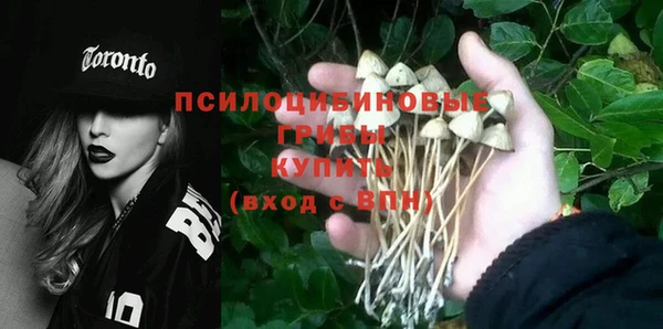 альфа пвп Богданович
