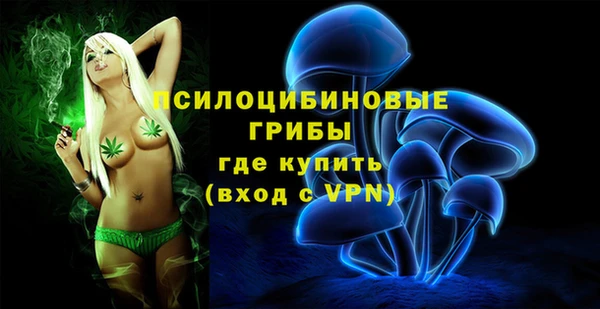 гидропоника Белокуриха