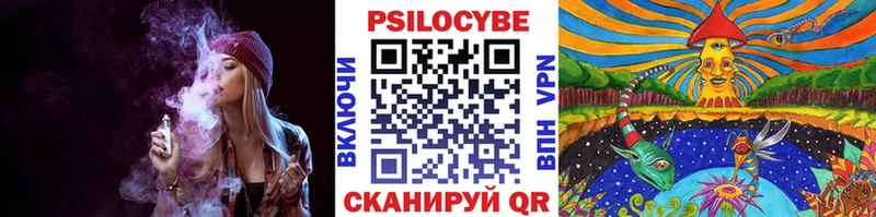 купить   Велиж  Галлюциногенные грибы мухоморы 